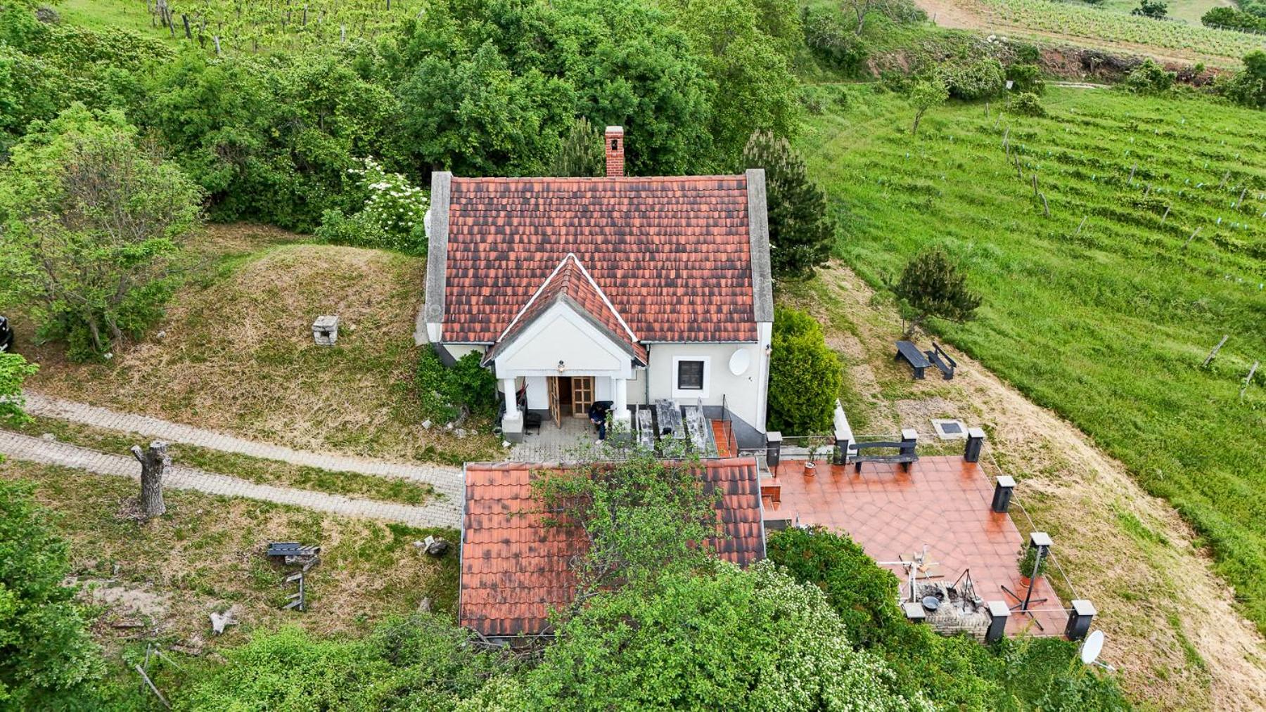 Villa Borospince Vendeghaz Pécsely Exterior foto