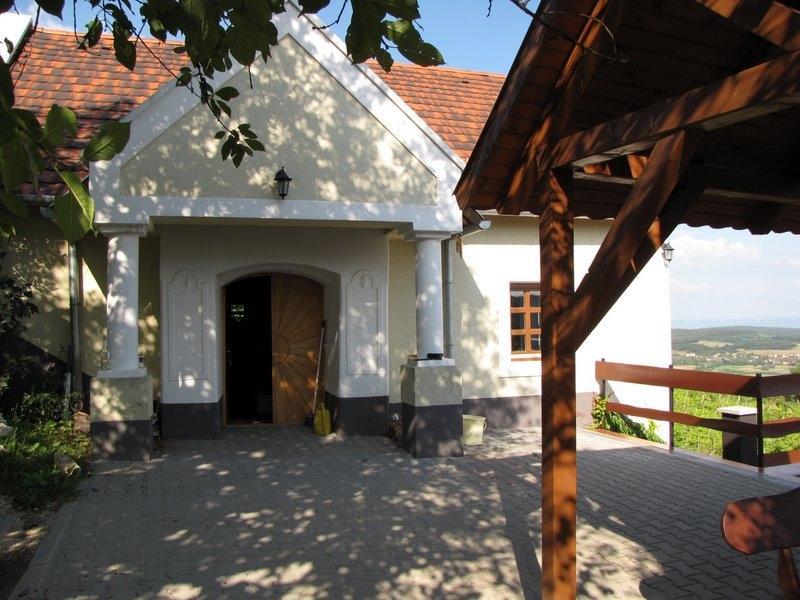 Villa Borospince Vendeghaz Pécsely Exterior foto
