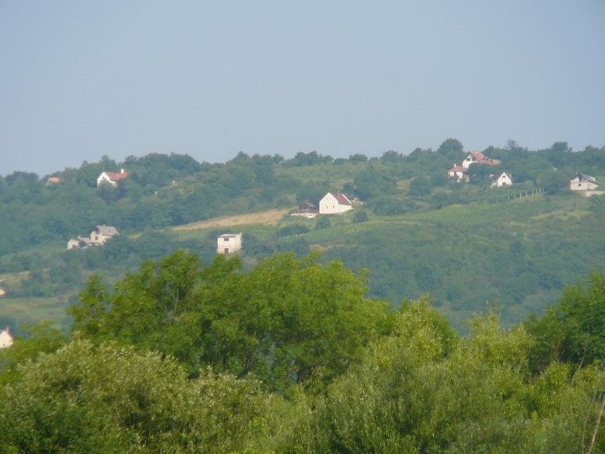 Villa Borospince Vendeghaz Pécsely Exterior foto